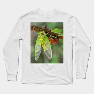 Cicada Emerging from it&#39;s Shell Long Sleeve T-Shirt